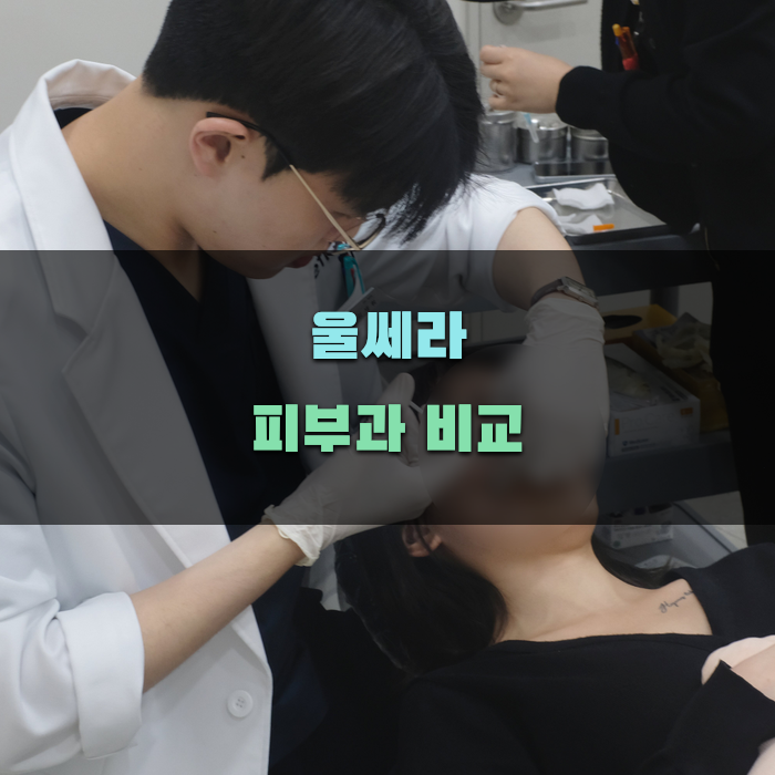 울쎄라 피부과 비교 분석하기