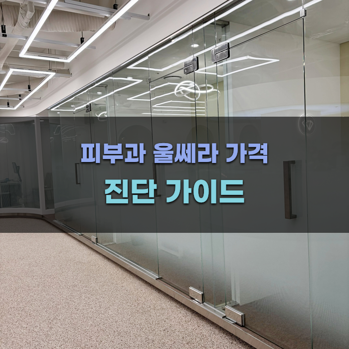 피부과 울쎄라 가격 진단 가이드
