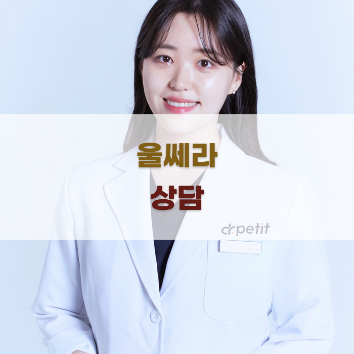 울쎄라 시술 개인 맞춤 상담이 필수인 이유